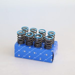 فنر سوپاپ xum برند ایساکو